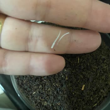 Çayda Yabancı Maddeyle Karşılaşmak Şaşırtıcıydı