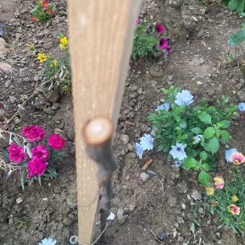 Kuru Fidan Gönderdiler İletişim Engellendi Çözüm Yok