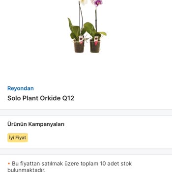Migros Sanal Marketten Gönderilen Orkide Siparişimde Hayal Kırıklığı Ve İlgisizlik