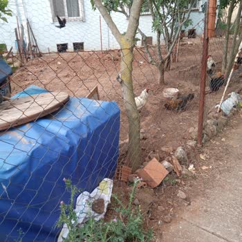 Kaçak Yapılar Ve Kötü Koku Mahalle Sakinlerini Rahatsız Ediyor