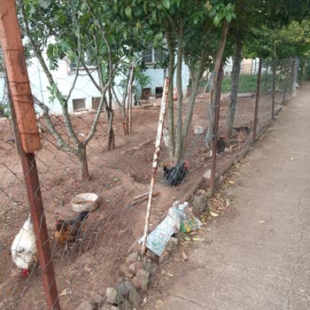 Kaçak Yapılar Ve Kötü Koku Mahalle Sakinlerini Rahatsız Ediyor