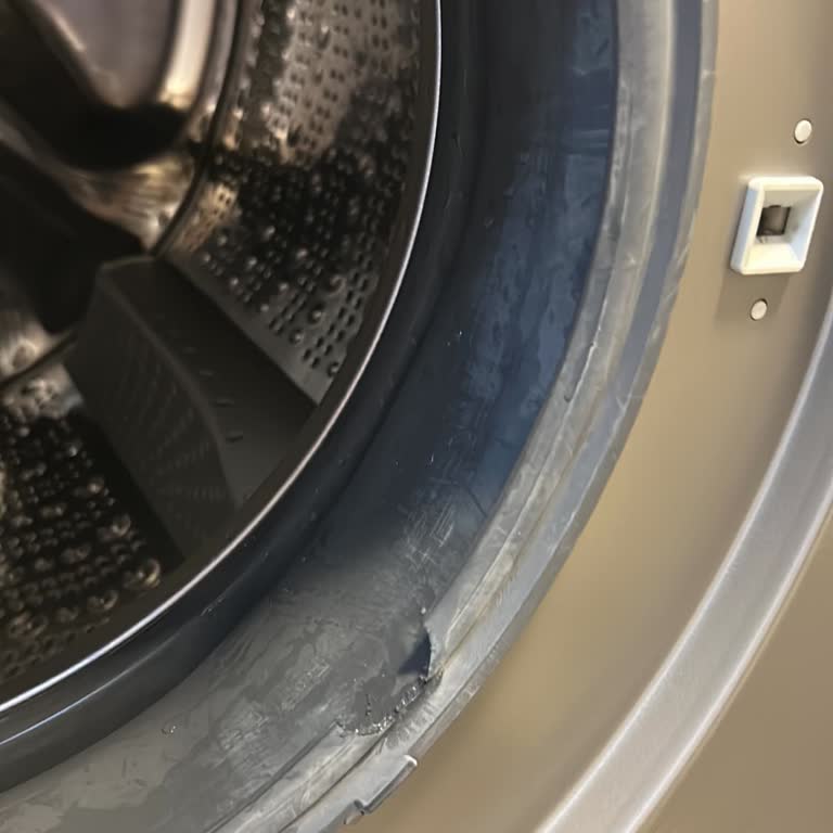 Garanti Kapsamındaki Çamaşır Makinesi Conta Sorunu Ve Yüksek Servis Ücreti