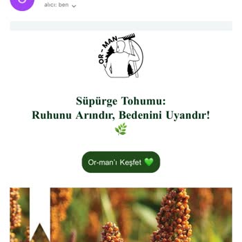 İstenmeyen Reklam Maillerinin Israrla Gönderilmesi Ve Abonelikten Çıkılamaması