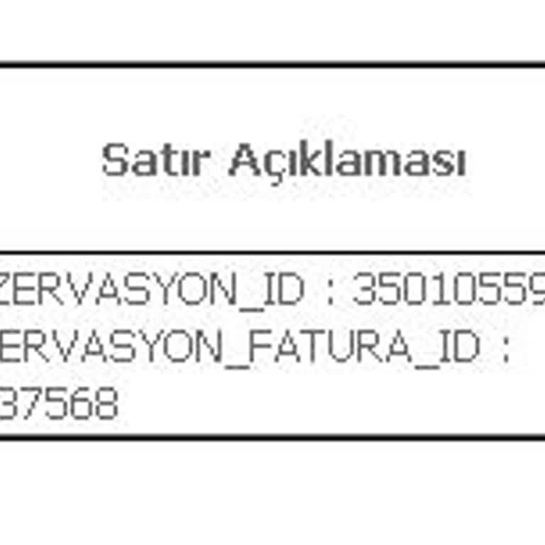 Fatura Bilgilerinin Yanlış Düzenlenmesi Ve Müşteri Hizmetlerinden Çözüm Alınamaması