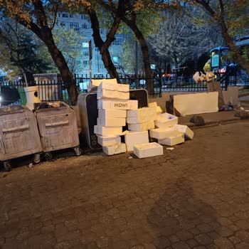 Bozuk Ürünlerin Sokakta Atılması Sokak Hayvanlarını Tehlikeye Atıyor