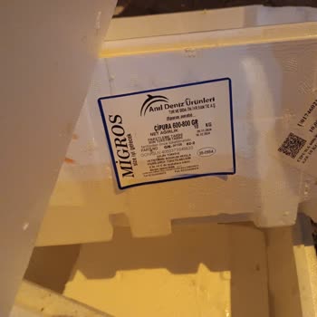 Bozuk Ürünlerin Sokakta Atılması Sokak Hayvanlarını Tehlikeye Atıyor