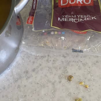 Duru Yeşil Mercimekte Böcek Çıkması Hayal Kırıklığı Yarattı