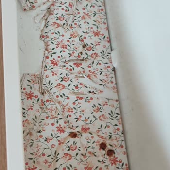 Arızalı Buzdolabı Sürecinde Yetersiz Servis Ve Hijyen Sorunu