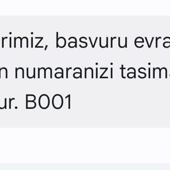 Hat Taşıma Sürecinde Evrak Sorunu Ve Müşteri Hizmetleri Yetersizliği
