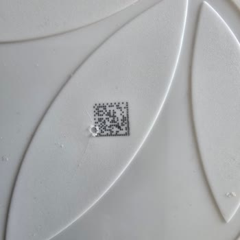 Herbalife Chocolate Shake Arrived Spoiled, Lumpy, and Smelled Terrible