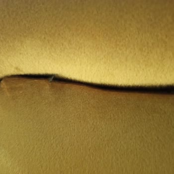 Koltuk Döşeme Sonrası Yırtık Ve Dikiş Hatalarına Çözüm Bulunmadı