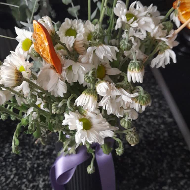 Siparişim Değiştirildi, Fiyat Farkı İade Edilmedi!