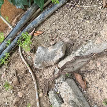 Açıkta Bırakılan Yüksek Gerilim Hattı Bina Sakinlerinin Hayatını Tehdit Ediyor