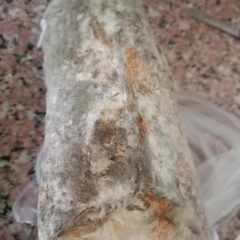 Küflü Peynir Ve Sorunlu İade Süreci Mağduriyeti