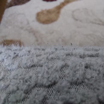 Mobilya Teslimatı Ve Kumaş Sorunu: Özgüler Mobilya Nata Vega Şubesinden Memnuniyetsizlik