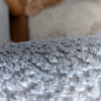 Mobilya Teslimatı Ve Kumaş Sorunu: Özgüler Mobilya Nata Vega Şubesinden Memnuniyetsizlik