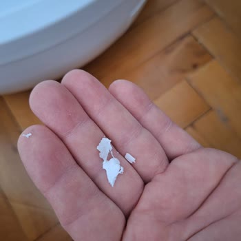 Kiwi Pets Otomatik Kedi Tuvaletinde Sorunlu Tamir ve Yetersiz Servis Deneyimi