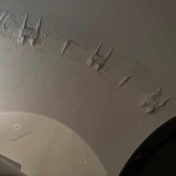 Kiwi Pets Otomatik Kedi Tuvaletinde Sorunlu Tamir ve Yetersiz Servis Deneyimi