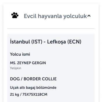 THY Personelinin Keyfi Tutumu ve Çağrı Merkezi Hatasıyla Evcil Hayvanla Seyahat Mağduriyeti