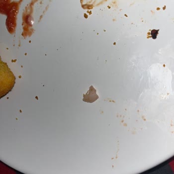 Lezita Nugget İçinde Kıkırdak Çıktı, Sağlığımız Tehlikede