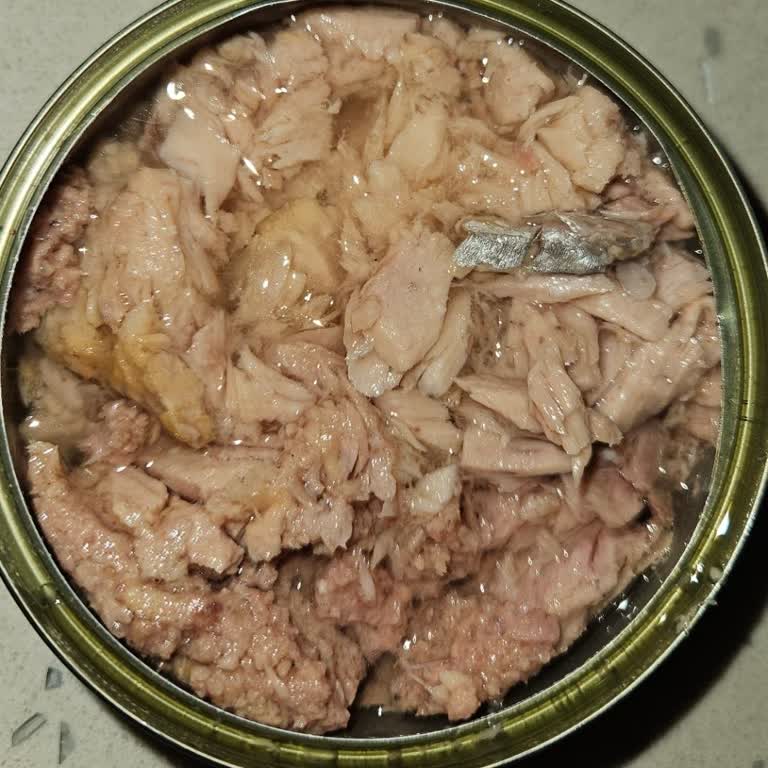 Tonla Ton Balığında Kötü Koku Ve Kalitesiz İçerik Hayal Kırıklığı Yarattı