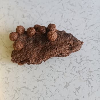 A101 Mısır Gevreğinde Yabancı Maddeyle Karşılaştım, Güvenim Sarsıldı