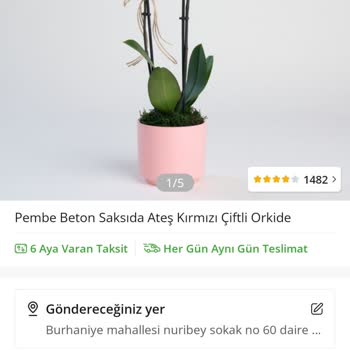 Yanlış Çiçek Ve Renk Gönderimi, Erken Teslimat Ve İlgisiz Müşteri Hizmeti