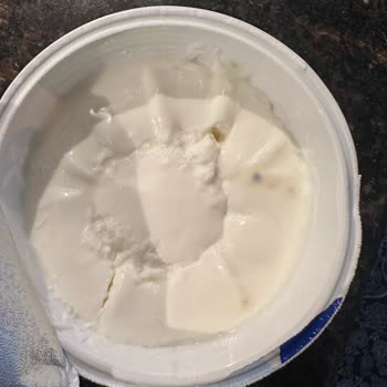 Aldığım Sek Quark Ürünlerinde Sürekli Küf Sorunu