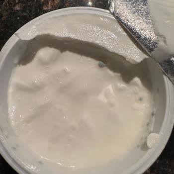 Aldığım Sek Quark Ürünlerinde Sürekli Küf Sorunu