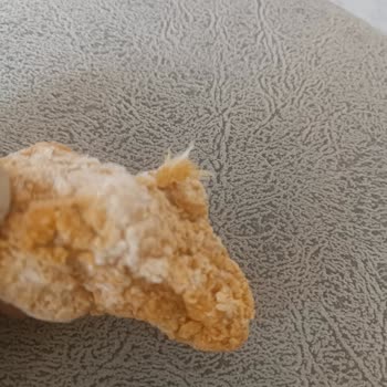 Lezita Kova Tavukta Temizlenmemiş Tüyler Ve Hayal Kırıklığı