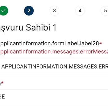 VFS Global Randevu Sisteminde Sürekli Hata Mesajı Alıyorum