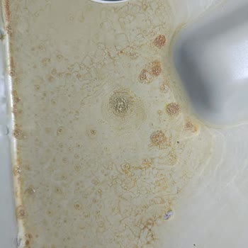 Citroen C4x Bagajında Paslanma: Bayi Ve Merkezden Çözüm Yok!