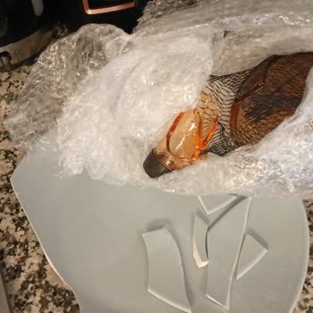 Kargo Görevlisinin İlgisizliği Nedeniyle Kırık Ürün Teslimatı Mağduriyeti