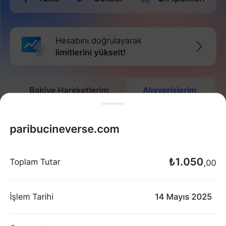 Çekilen Ücretin Karşılığı Olan Biletim Gösterilmiyor, İade Talep Ediyorum