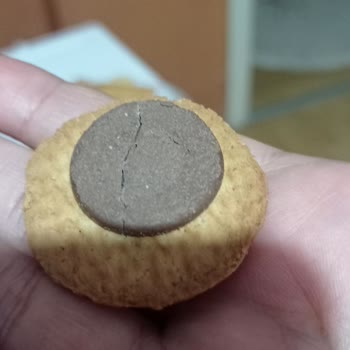 Torku Kakaolu Bisküvinin Kreması Her Seferinde Daha Az Geliyor