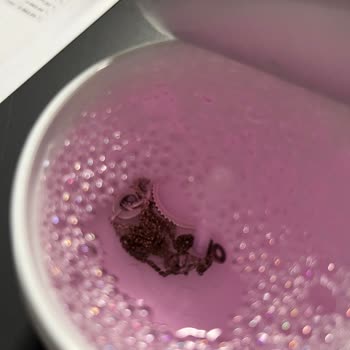 Kısa Sürede Kararan Kolyeye Ve İlgisiz Mağaza Personeline Hayal Kırıklığı