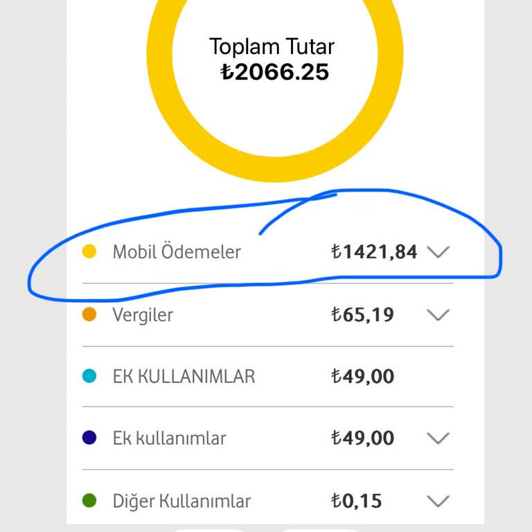 Bilgim Dışında Faturama Yansıtılan Satın Alma Ücretleri
