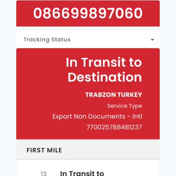 Siparişim Teslim Edilmedi, Gümrük Ücreti İade Edilmiyor!
