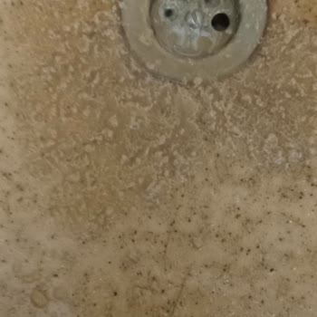 Aldığım Sek Laktozsuz Latte Bozuk Çıktı, İndirim De Uygulanmadı