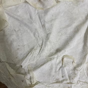 Aldığım Yufkaların Kokusu Ve Tazeliği Hayal Kırıklığı Yarattı