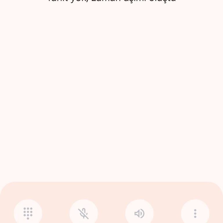 Bitay Müşteri Hizmetlerine Ulaşılamıyor, Hesaba Giriş Sorunu
