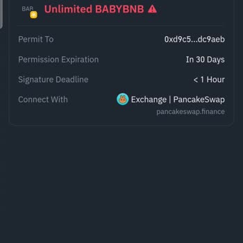 Binance Baby Bnb Token İşlemim Sonrası Paramı Çekemiyorum