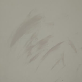 Polisan Boya Renk Farklılığı Nedeniyle Mağduriyet Yaşadım