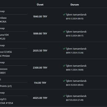Hesap Güvenliği Ve Destek Sürecinde Yaşanan Sorunlar