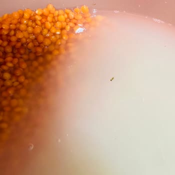 Migros Hemen Siparişimde Karışıklık Ve Bozuk Ürün Sorunu Yaşadım