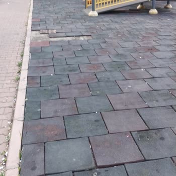 Seyhan Belediyesi Yeşilyurt 6 Numaralı Oyun Parkında Rahatsız Edici Görüntüler