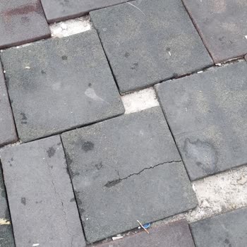 Seyhan Belediyesi Yeşilyurt 6 Numaralı Oyun Parkında Rahatsız Edici Görüntüler
