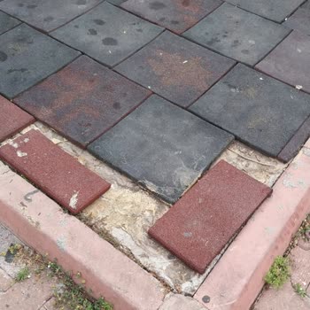 Seyhan Belediyesi Yeşilyurt 6 Numaralı Oyun Parkında Rahatsız Edici Görüntüler