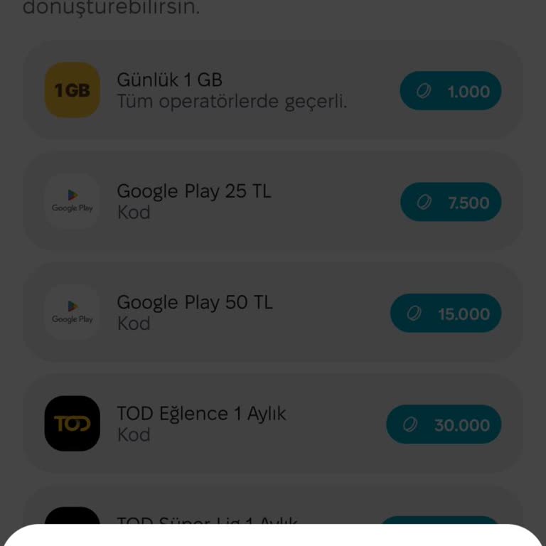 Kim GB İster Uygulamasında Puanla İnternet Alamıyorum