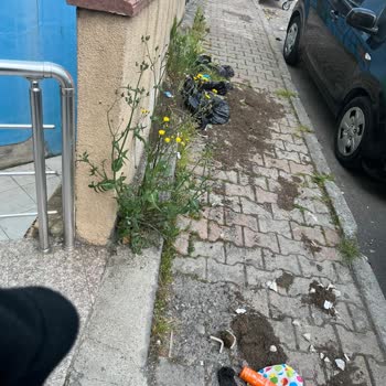 Çöp Konteynerleri Nedeniyle Yaşam Alanımız Engelleniyor